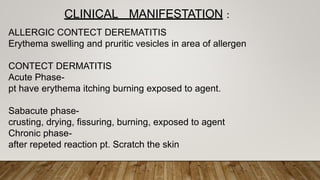 ALLERGIC CONTECT DEREMATITIS
Erythema swelling and pruritic vesicles in area of allergen
CONTECT DERMATITIS
Acute Phase-
pt have erythema itching burning exposed to agent.
Sabacute phase-
crusting, drying, fissuring, burning, exposed to agent
Chronic phase-
after repeted reaction pt. Scratch the skin
CLINICAL MANIFESTATION :
 