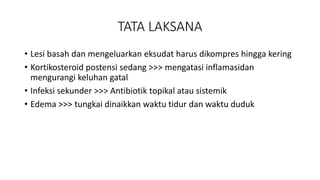 TATA LAKSANA
• Lesi basah dan mengeluarkan eksudat harus dikompres hingga kering
• Kortikosteroid postensi sedang >>> mengatasi inflamasidan
mengurangi keluhan gatal
• Infeksi sekunder >>> Antibiotik topikal atau sistemik
• Edema >>> tungkai dinaikkan waktu tidur dan waktu duduk
 