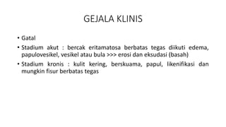GEJALA KLINIS
• Gatal
• Stadium akut : bercak eritamatosa berbatas tegas diikuti edema,
papulovesikel, vesikel atau bula >>> erosi dan eksudasi (basah)
• Stadium kronis : kulit kering, berskuama, papul, likenifikasi dan
mungkin fisur berbatas tegas
 