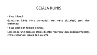 GEJALA KLINIS
• Fase Infantil
Gambaran klinis mirip dermatitis akut yaitu eksudatif, erosi dan
ekskoriasi
• Fase anak dan remaja-dewasa
Lesi cenderung menjadi kronis disertai hiperkeratosis, hiperpigmentasi,
erosi, ekskoriasi, krusta dan skuama
 