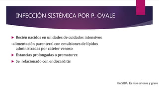 INFECCIÓN SISTÉMICA POR P. OVALE
 Recién nacidos en unidades de cuidados intensivos
-alimentación parenteral con emulsiones de lípidos
administradas por catéter venoso
 Estancias prolongadas o prematurez
 Se relacionado con endocarditis
En SIDA: Es mas extensa y grave
 