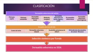 Dermatitis seborreica en SIDA
Infección sistémica por P.ovale
Dermatitis seborreica del niño
Costra de leche Dermatitis seborreica
infantil
Seudotiña amiantacea de
Alibert
Eritrodermia descamativa
de Leiner- Moussos
Dermatitis seborreica del adulto
Pitiriasis
capitis
Pitiriasis
esteatoide
Dermatitis
seborreica
facial
Blefaritis
marginal
Dermatitis
seborreica de
barba, bigote y
pubis
Eccematides
seborreicas
Dermatitis
seborreica
intertriginosa
CLASIFICACIÓN
 
