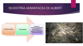 SEUDOTIÑA AMIANTACEA DE ALIBERT
Presente en niños Piel cabelluda
Escamas o
escamocostras gruesas
y estratificadas, de
color blanquecino o
grisáceo, al levantarse
aparecen húmedas
 