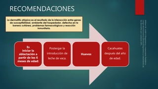 RECOMENDACIONES
Es
iniciar la
ablactación a
partir de los 6
meses de edad:
Postergar la
introducción de
leche de vaca.
Huevos
Cacahuates
después del año
de edad.
 