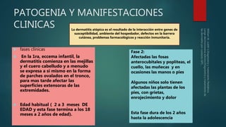 PATOGENIA Y MANIFESTACIONES
CLINICAS
 fases clínicas
 En la 1ra, eccema infantil, la
dermatitis comienza en las mejillas
y el cuero cabelludo y a menudo
se expresa a sí mismo en la forma
de parches ovalados en el tronco,
para mas tarde afectar las
superficies extensoras de las
extremidades.
 Edad habitual ( 2 a 3 meses DE
EDAD y esta fase termina a los 18
meses a 2 años de edad).
Fase 2:
Afectadas las fosas
anterocubitales y poplíteas, el
cuello, las muñecas y en
ocasiones las manos o pies.
Algunos niños solo tienen
afectadas las plantas de los
pies, con grietas,
enrojecimiento y dolor.
Esta fase dura de los 2 años
hasta la adolescencia.
La dermatitis atópica es el resultado de la interacción entre genes de
susceptibilidad, ambiente del hospedador, defectos en la barrera
cutánea, problemas farmacológicos y reacción inmunitaria.
 