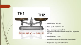 TH1 TH2
EQUILIBRIO = SALUD
 Desequilibrio TH1/TH2
 Fase aguda predomina TH2
 Fase crónica predomina TH1
 Incremento de receptores IgE en células Langerhans
(CPAs)
 Disminuye IL-2 e INF Ɣ
 Incremento de células dendríticas inflamatorias
 Perpetua la respuesta inflamatoria
 