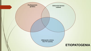 Predisposición
genética
Disfunción barrera
cutánea
Inflamación crónica
Th2 /Th1 (tardío)
ETIOPATOGENIA
 