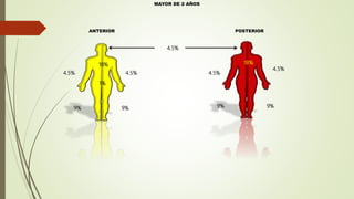 ANTERIOR POSTERIOR
MAYOR DE 2 AÑOS
4.5%
18% 18%
4.5%
4.5%
4.5% 4.5%
1%
9% 9% 9% 9%
 