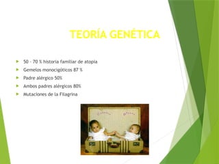 TEORÍA GENÉTICA
 50 – 70 % historia familiar de atopia
 Gemelos monocigóticos 87 %
 Padre alérgico 50%
 Ambos padres alérgicos 80%
 Mutaciones de la Filagrina
 