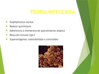 TEORÍA INFECCIOSA
 Staphylococus aureus
 Reduce quimiotaxis
 Adherencia a membrana de queratinocito atópico
 Reacción inmune tipo I
 Superantigenos: insensibilidad a corticoides
 