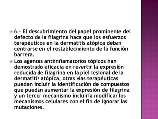  6.- El descubrimiento del papel prominente del
  defecto de la filagrina hace que los esfuerzos
  terapéuticos en la dermatitis atópica deban
  centrarse en el restablecimiento de la función
  barrera.
 Los agentes antiinflamatorios tópicos han
  demostrado eficacia en revertir la expresión
  reducida de filagrina en la piel lesional de la
  dermatitis atópica, otras vías terapéuticas
  pueden incluir la identificación de compuestos
  que puedan aumentar la expresión de filagrina
  y un tercer mecanismo incluiría modificar los
  mecanismos celulares con el fin de ignorar las
  mutaciones.
 