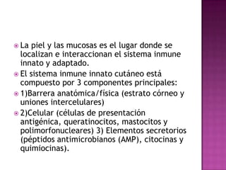  La  piel y las mucosas es el lugar donde se
  localizan e interaccionan el sistema inmune
  innato y adaptado.
 El sistema inmune innato cutáneo está
  compuesto por 3 componentes principales:
 1)Barrera anatómica/física (estrato córneo y
  uniones intercelulares)
 2)Celular (células de presentación
  antigénica, queratinocitos, mastocitos y
  polimorfonucleares) 3) Elementos secretorios
  (péptidos antimicrobianos (AMP), citocinas y
  quimiocinas).
 