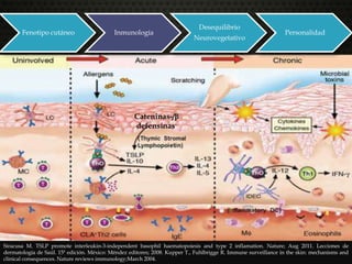 Fenotipo cutáneo Inmunología
Desequilibrio
Neurovegetativo
Personalidad
Siracusa M. TSLP promote interleukin-3-independent basophil haematopoiesis and type 2 inflamation. Nature; Aug 2011. Lecciones de
dermatología de Saúl. 15ª edición. México: Méndez editores; 2008. Kupper T., Fuhlbrigge R. Immune surveillance in the skin: mechanisms and
clinical consequences. Nature reviews immunology;March 2004.
Cateninas-/β
defensinas-
 