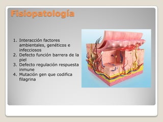 Fisiopatología
1. Interacción factores
ambientales, genéticos e
infecciosos
2. Defecto función barrera de la
piel
3. Defecto regulación respuesta
inmune
4. Mutación gen que codifica
filagrina
 