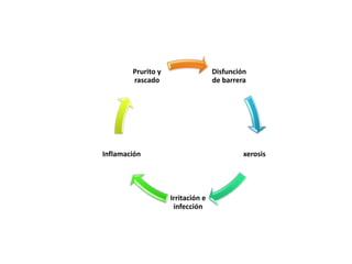 Disfunción
de barrera
xerosis
Irritación e
infección
Inflamación
Prurito y
rascado
 