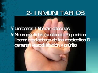 2- INMUNITARIOS Linfocitos T liberan citocinas Neuropéptidos (sustancia P) podrían liberar mediadores de los mastocitos – generan vasodilatación y prúrito 