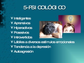 5-PSICOLÓGICO Inteligentes Aprensivos Hiperactivos Posesivos Introvertidos Lábiles a diversos estímulos emocionales Tendencia a la depresión Autoagresión 