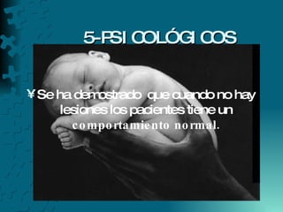 5-PSICOLÓGICOS Se ha demostrado  que cuando no hay lesiones los pacientes tiene un  comportamiento normal. 