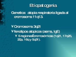 Etiopatogenia Genetica:  atopia respiratoria ligada al cromosoma 11q13.  Cromosoma 3q21 fenotipos atopicos (asma, IgE)  5 regiones  cromosómicas (1q21, 17q25, 20p, 16q y 5q31).  