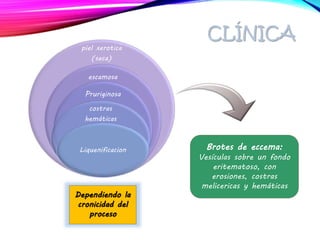 piel xerotica
(seca)
escamosa
Pruriginosa
costras
hemáticas
Liquenificacion
Dependiendo la
cronicidad del
proceso
Brotes de eccema:
Vesículas sobre un fondo
eritematoso, con
erosiones, costras
melicericas y hemáticas
CLÍNICA
 