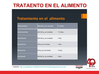 TRATAENTO EN EL ALIMENTO
FUENTE: http://es.slideshare.net/willianrodricer/dermatitis-gangrenosa-en-aves
 