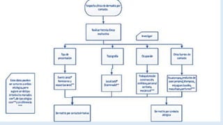 Dermatitis de contacto