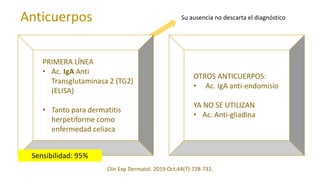 Clin Exp Dermatol. 2019 Oct;44(7):728-731.
PRIMERA LÍNEA
• Ac. IgA Anti
Transglutaminasa 2 (TG2)
(ELISA)
• Tanto para dermatitis
herpetiforme como
enfermedad celiaca
Anticuerpos
OTROS ANTICUERPOS:
• Ac. IgA anti-endomisio
YA NO SE UTILIZAN
• Ac. Anti-gliadina
Su ausencia no descarta el diagnóstico
Sensibilidad: 95%
 