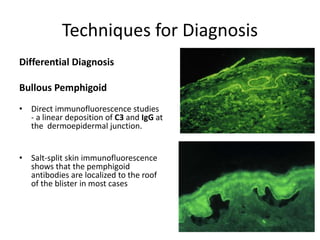 Techniques for Diagnosis
Differential Diagnosis
Bullous Pemphigoid
• Direct immunofluorescence studies
- a linear deposition of C3 and IgG at
the dermoepidermal junction.
• Salt-split skin immunofluorescence
shows that the pemphigoid
antibodies are localized to the roof
of the blister in most cases
 