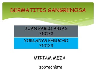 DERMATITIS GANGRENOSA


    JUAN PABLO ARIAS
         710172
   YORLADYS PERUCHO
        710123

       MIRIAM MEZA

         zootecnista
 