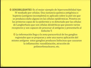 0 SENSIBILIZANTES: Es el mejor ejemplo de hipersensibilidad tipo
    IV mediado por células. Una sustancia química antigénica o
  hapteno (antígeno incompleto) es aplicado sobre la piel sin que
  se produzca daño alguno en las células epidérmicas. Penetra en
 las primeras capas de la epidermis y es detectado por las células
  de Langherhans que son células dendríticas que poseen varios
 receptores y son capaces de procesar al antígeno y presentarlo al
                             linfocito T.
   0 La información llega a la zona paracortical de los ganglios
    regionales que se preparan y ante una nueva aplicación del
 mismo antígeno estos ganglios producen linfocinas que causaran
            la inflamación: vasodilatación, atracción de
                      polimorfonucleares, etc.
 