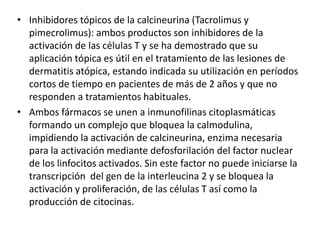 • Inhibidores tópicos de la calcineurina (Tacrolimus y
pimecrolimus): ambos productos son inhibidores de la
activación de las células T y se ha demostrado que su
aplicación tópica es útil en el tratamiento de las lesiones de
dermatitis atópica, estando indicada su utilización en períodos
cortos de tiempo en pacientes de más de 2 años y que no
responden a tratamientos habituales.
• Ambos fármacos se unen a inmunofilinas citoplasmáticas
formando un complejo que bloquea la calmodulina,
impidiendo la activación de calcineurina, enzima necesaria
para la activación mediante defosforilación del factor nuclear
de los linfocitos activados. Sin este factor no puede iniciarse la
transcripción del gen de la interleucina 2 y se bloquea la
activación y proliferación, de las células T así como la
producción de citocinas.
 