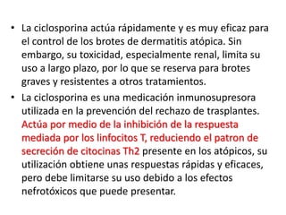 • La ciclosporina actúa rápidamente y es muy eficaz para
el control de los brotes de dermatitis atópica. Sin
embargo, su toxicidad, especialmente renal, limita su
uso a largo plazo, por lo que se reserva para brotes
graves y resistentes a otros tratamientos.
• La ciclosporina es una medicación inmunosupresora
utilizada en la prevención del rechazo de trasplantes.
Actúa por medio de la inhibición de la respuesta
mediada por los linfocitos T, reduciendo el patron de
secreción de citocinas Th2 presente en los atópicos, su
utilización obtiene unas respuestas rápidas y eficaces,
pero debe limitarse su uso debido a los efectos
nefrotóxicos que puede presentar.
 