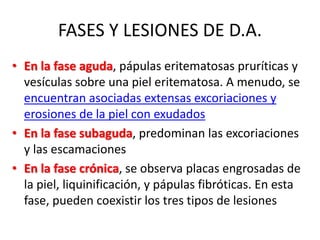 FASES Y LESIONES DE D.A.
• En la fase aguda, pápulas eritematosas pruríticas y
vesículas sobre una piel eritematosa. A menudo, se
encuentran asociadas extensas excoriaciones y
erosiones de la piel con exudados
• En la fase subaguda, predominan las excoriaciones
y las escamaciones
• En la fase crónica, se observa placas engrosadas de
la piel, liquinificación, y pápulas fibróticas. En esta
fase, pueden coexistir los tres tipos de lesiones
 