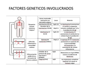 FACTORES GENETICOS INVOLUCRADOS
 