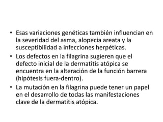 • Esas variaciones genéticas también influencian en
la severidad del asma, alopecia areata y la
susceptibilidad a infecciones herpéticas.
• Los defectos en la filagrina sugieren que el
defecto inicial de la dermatitis atópica se
encuentra en la alteración de la función barrera
(hipótesis fuera-dentro).
• La mutación en la filagrina puede tener un papel
en el desarrollo de todas las manifestaciones
clave de la dermatitis atópica.
 