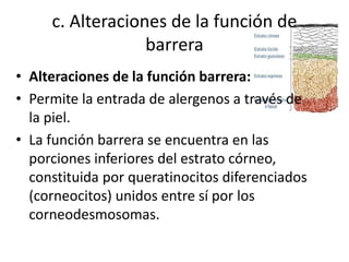 c. Alteraciones de la función de
barrera
• Alteraciones de la función barrera:
• Permite la entrada de alergenos a través de
la piel.
• La función barrera se encuentra en las
porciones inferiores del estrato córneo,
constituida por queratinocitos diferenciados
(corneocitos) unidos entre sí por los
corneodesmosomas.
 