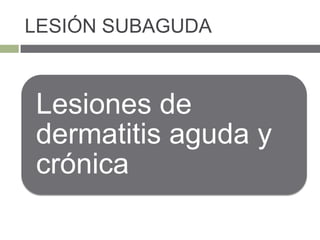 LESIÓN SUBAGUDA
Lesiones de
dermatitis aguda y
crónica
 