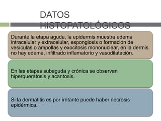 DATOS
HISTOPATOLÓGICOS
Durante la etapa aguda, la epidermis muestra edema
intracelular y extracelular, espongiosis o formación de
vesículas o ampollas y exocitosis mononuclear, en la dermis
no hay edema, infiltrado inflamatorio y vasodilatación.
En las etapas subaguda y crónica se observan
hiperqueratosis y acantosis.
Si la dermatitis es por irritante puede haber necrosis
epidérmica.
 