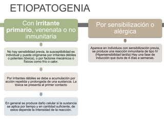 ETIOPATOGENIA
Con irritante
primario, venenata o no
inmunitaria
No hay sensibilidad previa, la susceptibilidad es
individual y puede originarse por irritantes débiles
o potentes (tóxica), o por factores mecánicos o
físicos como frío o calor.
Por irritantes débiles se debe a acumulación por
acción repetida y prolongada de una sustancia. La
tóxica se presenta al primer contacto
En general se produce daño celular si la sustancia
se aplica por tiempo y en cantidad suficiente, de
estos depende la intensidad de la reacción.
Por sensibilización o
alérgica
Aparece en individuos con sensibilización previa,
se produce una reacción inmunitaria de tipo IV
(Hipersensibilidad tardía) Hay una fase de
inducción que dura de 4 días a semanas.
 