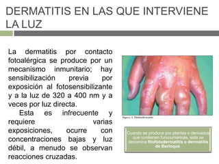 DERMATITIS EN LAS QUE INTERVIENE
LA LUZ
Cuando se produce por plantas o derivados
que contienen furocumarinas, esta se
denomina fitofotodermatitis o dermatitis
de Berloque.
La dermatitis por contacto
fotoalérgica se produce por un
mecanismo inmunitario; hay
sensibilización previa por
exposición al fotosensibilizante
y a la luz de 320 a 400 nm y a
veces por luz directa.
Esta es infrecuente y
requiere varias
exposiciones, ocurre con
concentraciones bajas y luz
débil, a menudo se observan
reacciones cruzadas.
 