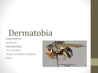 DermatobiaSubmitted To:
Dr.Shoaib
Submitted By:
14- Arid-2022
FAISAL SHAHZAD SOMROO
PMAS
 