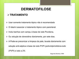  Usar somente tratamento tópico não é recomendado
 O ideal é associar o tratamento tópico com parenteral.
 Inclui banhos com xampu à base de iodo Povidona,
 Ou solução de clorexidina diariamente, por sete dias.
 A Pode-se preconizar a limpeza da pele, lavada diariamente com
solução anti-séptica à base de iodo PVPI (polivinilpirrolidona-iodo
(PVPI) e iodo a 2%
TRATAMENTO
DERMATOFILOSE
Segundo Alvarez (1994
 