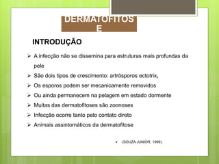 INTRODUÇÃO
 A infecção não se dissemina para estruturas mais profundas da
pele
 São dois tipos de crescimento: artrósporos ectotrix,
 Os esporos podem ser mecanicamente removidos
 Ou ainda permanecem na pelagem em estado dormente
 Muitas das dermatofitoses são zoonoses
 Infecção ocorre tanto pelo contato direto
 Animais assintomáticos da dermatofitose
 (SOUZA JUNIOR, 1999).
DERMATOFITOS
E
 