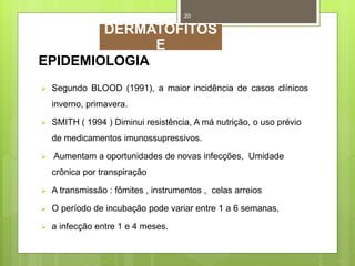EPIDEMIOLOGIA
 Segundo BLOOD (1991), a maior incidência de casos clínicos
inverno, primavera.
 SMITH ( 1994 ) Diminui resistência, A má nutrição, o uso prévio
de medicamentos imunossupressivos.
 Aumentam a oportunidades de novas infecções, Umidade
crônica por transpiração
 A transmissão : fômites , instrumentos , celas arreios
 O período de incubação pode variar entre 1 a 6 semanas,
 a infecção entre 1 e 4 meses.
20
DERMATOFITOS
E
 