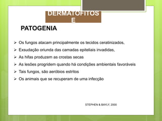 PATOGENIA
 Os fungos atacam principalmente os tecidos ceratinizados,
 Exsudação oriunda das camadas epiteliais invadidas,
 As hifas produzem as crostas secas
 As lesões progridem quando há condições ambientais favoráveis
 Tais fungos, são aeróbios estritos
 Os animais que se recuperam de uma infecção
DERMATOFITOS
E
STEPHEN & BAYLY, 2000
 