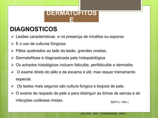 DIAGNOSTICOS
 Lesões características e na presença de micélios ou esporos
 E o uso de culturas fúngicas.
 Pêlos quebrados ao lado da lesão, grandes crostas,
 Dermatofitose é diagnosticada pela histopatológica
 Os achados histológicos incluem foliculite, perifoliculite e dermatite.
 O exame direto do pêlo e da escama é útil, mas requer treinamento
especial.
 Os testes mais seguros são cultura fúngica e biopsia de pele.
 O exame de raspado de pele e para distinguir as tinhas de sarnas e de
infecções cutâneas mistas.
( BLOOD, 1991; THOMASSIAN, 1990 )
SMITH ( 1994 )
DERMATOFITOS
E
 