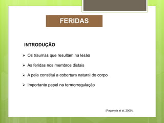 INTRODUÇÃO
 Os traumas que resultam na lesão
 As feridas nos membros distais
 A pele constitui a cobertura natural do corpo
 Importante papel na termorregulação
(Paganela et al, 2009).
FERIDAS
 