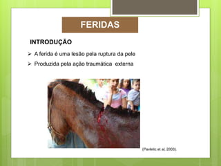 INTRODUÇÃO
 A ferida é uma lesão pela ruptura da pele
 Produzida pela ação traumática externa
(Pavletic et al, 2003).
FERIDAS
 