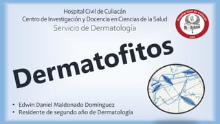 • Edwin Daniel Maldonado Domínguez
• Residente de segundo año de Dermatología
HospitalCivil deCuliacán
Centro de Investigación y Docencia enCiencias de la Salud
Servicio de Dermatología
 