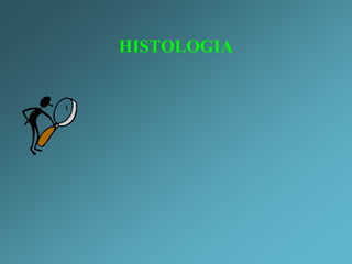 SINAIS CLÍNICOSo Prurido: geralmente ausenteo Presença de secreção abaixo das escaras: M. gypseum ou T.mentagrophytesLesões focais ou multifocaisRaramente generalizadasAs lesões típicas são demarcadas com alopecia e formação de pequenasCrostasEm lesões múltiplas o tamanho geralmente é variado